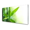 tulup.si Slika na akrilnem steklu Bamboo leaf narava rastlin 125x50 cm 2 obešalnika