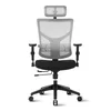Ergovision Ergonomski pisarniški stol ESSENT | Barva: Bela