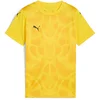 Puma Dres teamULTIMATE Jersey Jr