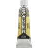 Rembrandt Professional Watercolour Paint 10 ml Davys Grey