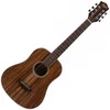 FLIGHT TR-1000 TEAK TRAVEL akustična kitara