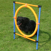 AGILITY FUN & SPORT SKAKALNI OBROČ POPOLNI SET, PRESKAKOVALNI OBROČ, PREMER 55 CM