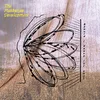 The Mukherjee Development - Should I Dance For You (Limited Edition) (LP)