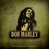 posneti mediji MARLEY B. & THE WAILERS - LP/LIVE N KISKIN YELLOW, (20871192)