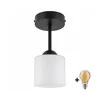BRILAGI - LED plafonski luster RETRO GLASS 1xE27/60W/230V prečnik 10 cm crna/bela