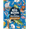Big Book of Colouring