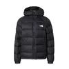 The North Face Puhovka Hydrenalite NF0A5GIE Črna Regular Fit