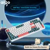Aigo Tastatura, Šarena