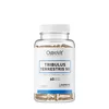 Tribulus Terrestris 90 1000mg 60 kapsula