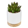 Atmosphera Umjetno cvijeće Succulent, 12  cm