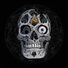 Atreyu - In Our Wake (Picture Disc) (LP)