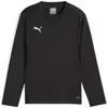 Mikica Puma teamGOAL Training Sweat Jr