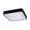 Brilagi - LED prigušiva stropno svetlo FALCON II LED/80W/230V 40x40 cm crna + daljinski upravljač