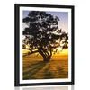 Plakat s paspartujem samotno drevo ob sončnem zahodu - 60x90 silver