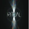 Jon Hopkins - Ritual (Insert) (Clear Coloured) (2 LP)