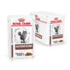 ROYAL CANIN Veterinarska dijeta za mačke Gastrointestinal 85g