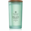 Chesapeake Bay Candle Mind & Body Balance & Harmony dišeča sveča 355 g