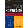 Norwegian Verbs And Essentials of Grammar