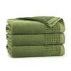 Zwoltex Brisača PAULO-3 50x100 zelena