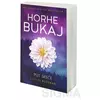Put sreće - Horhe Bukaj