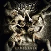 Hate - Anaclasis: A Haunting Gospel Of Malice & Hatred (Limited Edition) (Fire Marble Coloured) (LP)