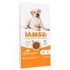 10 + 2 gratis! IAMS suha pasja hrana 12 kg - Advanced Nutrition Adult Large Dog s piščancem
