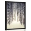 Plakat gozd prekrit s snegom - 60x90 white