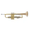 Trobenta Stradivarius LT180-43G Vincent Bach