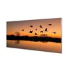 tulup.si Steklena slika Flying ptice sunset 140x70 cm 2 obešalnika
