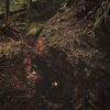Baptists - Bushcraft (LP)