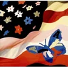The Avalanches - Wildflower (CD)