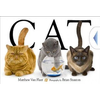 Matthew Van Fleet,Brian Stanton - Cat