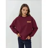Hiccup Majica Sweatshirts češnjevo rdeča