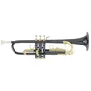 Bb trobenta TR-101K Roy Benson