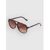Vans Welton Sunglasses tortoise shell