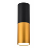 Tube Ceiling 1X15W Gu10 5,8/20 Black & Gold