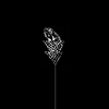 Wetware - Flail (Limited Edition) (Clear Coloured) (LP)