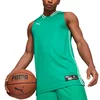 Dre Puma Hoop Team Game Jerey