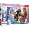 Tref line 23006 puzzle 300 froze ( t30062 )