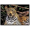 shumee Magic Scratch Card Mysterious Cheetah 40x28 cm