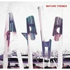 Ariel Pinks Haunted Graffiti Mature Themes (LP)