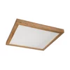 Brilagi-LED Prigušiva rasvetno telo WOODY FRAME LED/50W/230V hrast 60x60 cm IP44 + daljinski upravljač