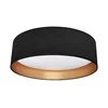 LED plafonsko svetlo RONDO LED/18W/230V crno