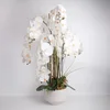 Homestar Orhideja Garden Queen H102cm bela