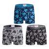 3-PACK moške boksarice Uomo Maple Shadow
