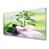 tulup.si Slika na akrilnem steklu Bamboo orchid zen spa 120x60 cm 4 obešalnika