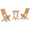 Sklopivi bistro set 3 kom. Smeđa Čvrsto drvo akacije