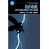 Batman: The Dark Knight Returns: DC Compact Comics Edition