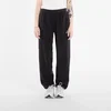 Superge Nike ACG Wolf Tree Womens Pants Black/ Anthracite/ Summit White S