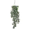 Dekordom Cvet crassula 79cm 1021018 - green - edl ( 040427 )
